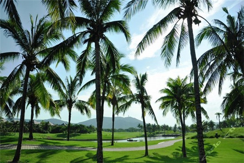 华氏老街坊火锅