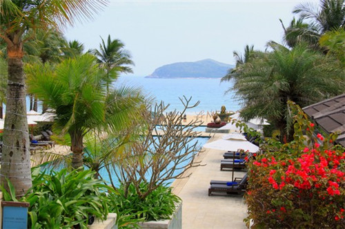 长春黄金手撕面包