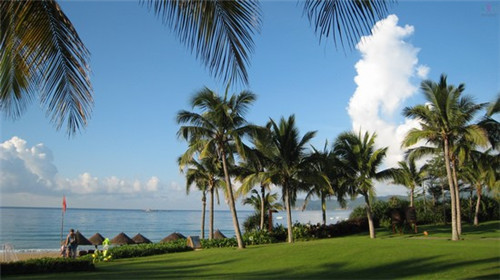 凤翔网红奶茶店在哪