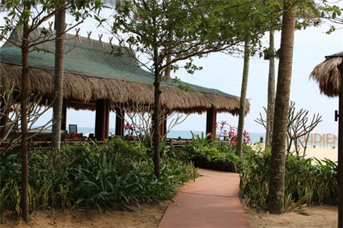 可以发表自己的抖音号吗（抖音可以发自己的视频吗）