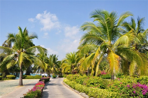 可以拉粑粑的小游戏叫什么（能拉粑粑的游戏是什么）