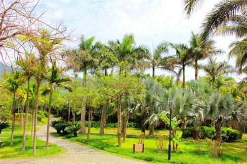 沙棘排毒加盟费多少