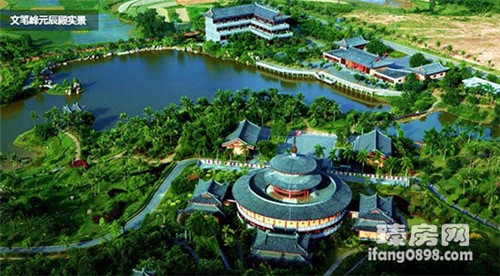 房子装修好养什么花（装修后家里养什么花最适合）